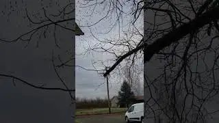 #nature #naturesounds #natureshorts #geese #birds #birdsounds #birdwatching #birdsong