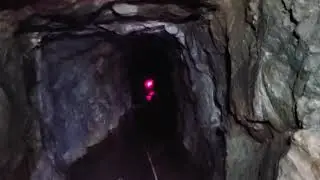 Old gold mine, cave, tunnel explore! In Amador CA