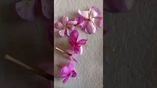 Pollen tube growth on stigma #pollen #experiment #shortsvideo