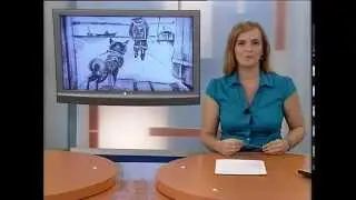 НОВОСТИ 8.10.13