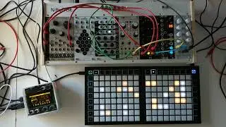 park | norns arcologies + launchpad mini mk3 + modular synth