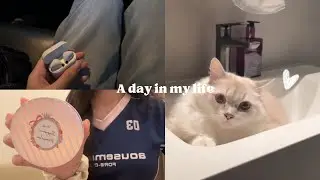 a day in my life | vlog, unboxing, seeing cats & dogs, going out