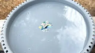 Daoeny Heated Bird Bath for Deck Railing, Upgraded 100W Heated Bird Baths for Outdoors Thermostat Co