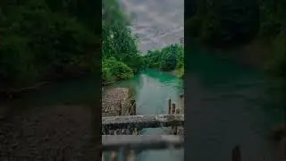 Manas National Park , Assam