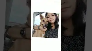 #ilovedog