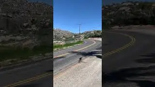 Yamaha r1 raw sound! #raw #superbike #yamaha #r1 #canyoncarving #exhaust #volume