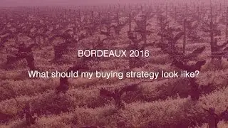 Bordeaux 2016 - What should my buying strategy look like?