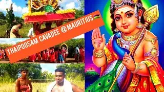 Thaipoosam Cavadee @ Mauritius 🇲🇺 #mauritiusisland  11.02.2025 #eastafrica #god #murugan