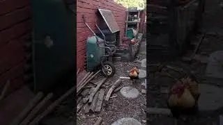 DIY Arduino automatic chicken door