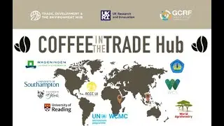 Coffee in the TRADE Hub