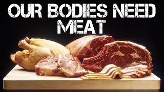 Health Benefits of Bone Broth, Collagen, Grass Fed Meats | Health Tips, Nutrition, Keto, Paleo