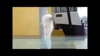 SkyShowBrasil Video Maquina de Neve e Espuma Snow Machine FX CINE DJ !!!