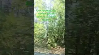 ПРОВЕРИМ