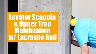 Upper traps & levator scapula self myofascial release with lacrosse ball