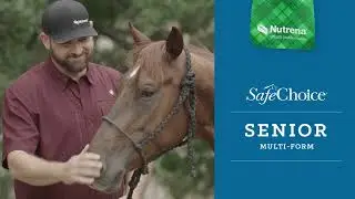 SafeChoice&reg; Senior - Horse Feeds at Southern States Cooperative