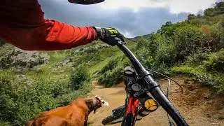 Przeleciałem krowę - Czerwony Vink Bikepark Chatel l Dollo Style