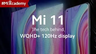 Xiaomi UK | Mi Academy: Mi 11 has Xiaomi's best-ever AMOLED display