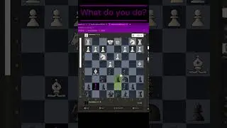 What Do You do?  General Chess Questions #2 #chess #elo #checkmate