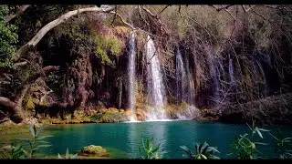 15 Minutes 4K Relaxing Waterfall Sounds Loop | Jungle Lake, Peaceful Nature Ambiance for Sle