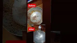 modicare product demo