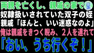 【感動する話】両親を亡くし、親戚に奴隷扱いされる双子の姪→幼馴染に相談したら「私が母親になる」と言われた結果【朗読・スカッと】