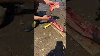 How to filet trout we go over skinless and skin on. fishing and cooking in the wild