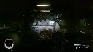 I screamed the whole time