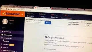 BitConnect Millionaire with Over 250K in Loans