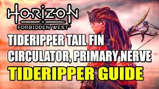 Tideripper Location (Tideripper Tail Fin, Circulator, Primary Nerve) | Horizon Forbidden West