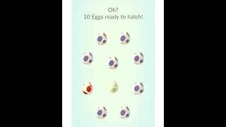 Epic 10-Egg Hatching Challenge! Can We Hatch Legendary Pokemon? #gaming #pokemon