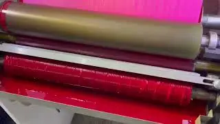 Automatic Roll to Roll Adhesive Paper Two Color Narrow Web Flexo Printing Machine