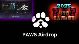 Paws 2025. Что стало? Инструкция как использовать приложение. Показываю сколько лап я получил