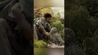 Волшебная река #шорты