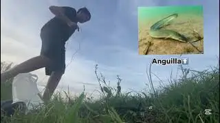Primer video, pescando carnada para tarariras!🇺🇾