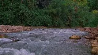 4K-HDR | Crystal River Flow in Lush Green Forest for Meditation Music, Sleep & Nighttime Relaxation