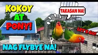 KOKOY AT PONY NAKAWALA SA DREAM LOFT GOOD BYE NA BA?
