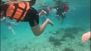 Swimming with the sea turtle at Port Barton, Palawan, Philippines 🇵🇭