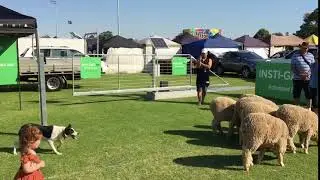 Automatic Farm Gate