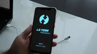 Как прошить Xiaomi Mi8 (china version) через TWRP на локализованную версию с Google Pay
