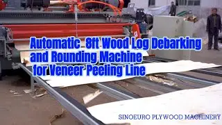 Automatic 8ft Wood Log Debarking and Rounding Machine for Veneer Peeling Line