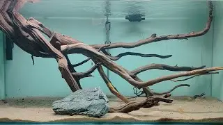 Simple Discus aquarium in our gallery #discus #discusAquarium #gallery