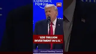 $20 Trillion Investment In US: Donald Trump | Trump News | World Economic Forum