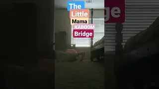 Little Mama made up her OWN trick!! The Little Mama KABOOM Bridge