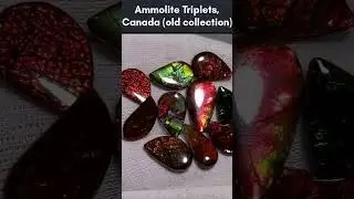 Some Quick Fun Facts About Ammolite #gemstone #minerals #fossil #facts #fun #rare