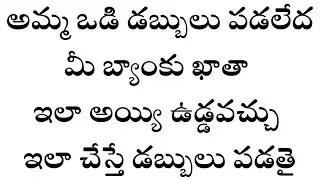 How To Check AMMA VODI Status Online,