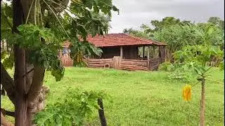 Muita chuva na fazendinha 👨‍🌾🌨️🙌