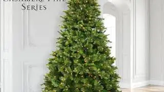 Vickerman Cashmere Collection