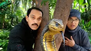Jungle We Lost Survival Life Challenge Cobra Snakes Scorpions.