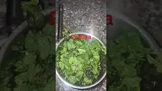 Dhaniya Pudina Chutney 🌿🍋 | Fresh, Healthy & Full of Taste  #asmt  #dhaniyachutney