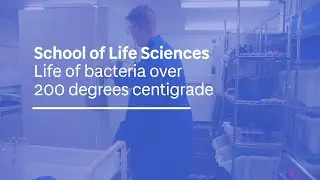 Life of bacteria over 200 degrees celsius (audio described)